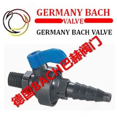进口自动进排气阀，黄铜排气阀-德国BACH巴赫