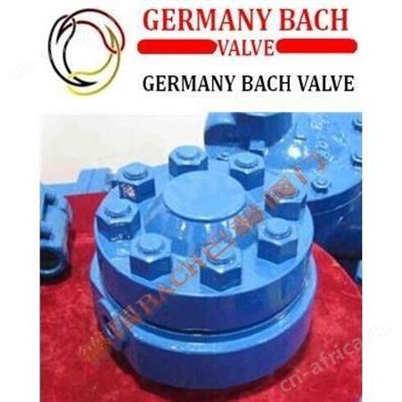 德国BACH巴赫进口气动塑料隔膜阀，气动塑料隔膜阀，气动隔膜阀