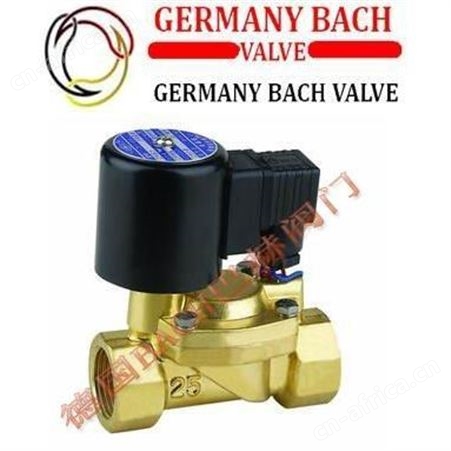 德国BACH巴赫进口活塞式零压差蒸汽电磁阀，进口零压差蒸汽电磁阀，进口电磁阀