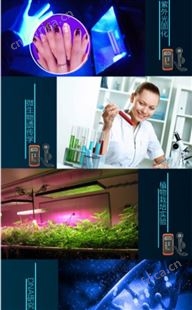 405nm紫外线强度检测仪 UV强度计适合测汞灯LED灯UVV紫外辐照计
