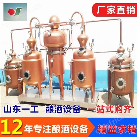 306山东一工酿酒 青梅酒生产设备多少钱 水蜜桃酒生产设备哪家好