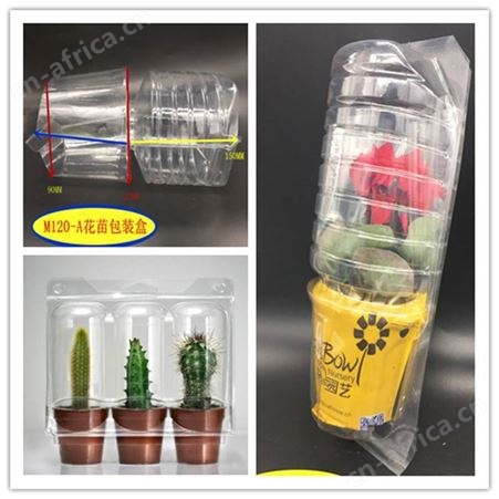 植物包装草本植物包装 广东省梅州市吸塑包装定制