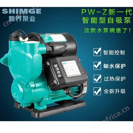 新界智能全自动水泵PW250Z家用自来水小型增压泵