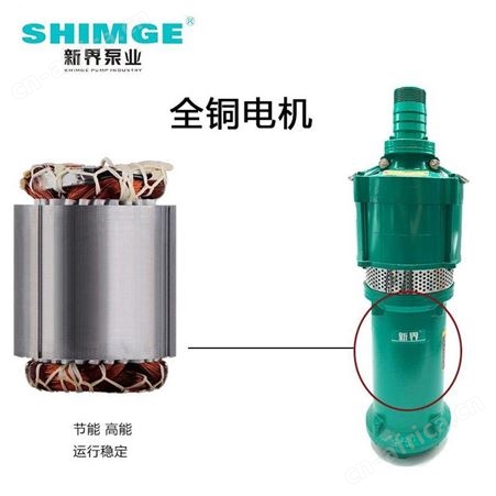 SHIMGE新界QD3-50/3-1.1J干式潜水泵民用220V电压清水排水泵