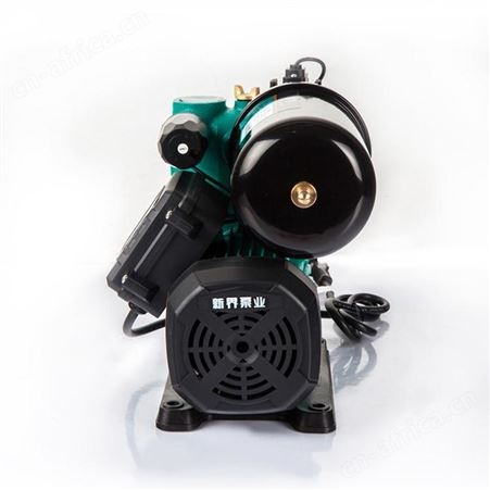 新界智能全自动水泵PW250Z家用自来水小型增压泵