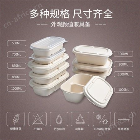 轻食西餐可降解材质打包盒寿司外卖环保水果盒