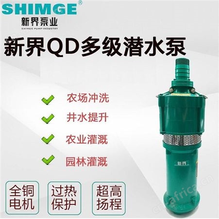 SHIMGE新界QD3-50/3-1.1J干式潜水泵民用220V电压清水排水泵