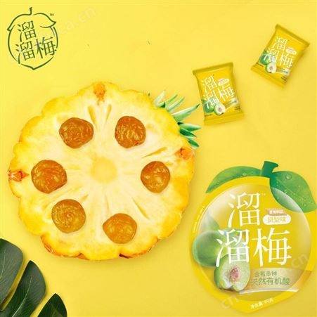 溜溜梅 休闲装凤梨味青梅 美泽员工礼品定制 礼品公司加盟 MY-LLGY-L5-13