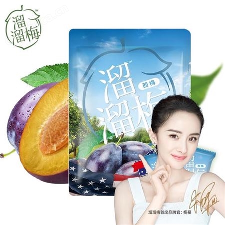 溜溜梅 分享装溜溜西梅 美泽宣传礼品 礼品招商加盟 MY-LLGY-L5-22