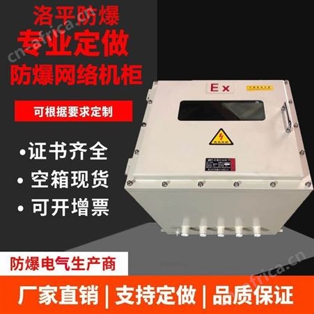 BXK4U防爆网络机柜 交换机机柜 PDU监控机箱 防尘散热网络机柜 洛平防爆