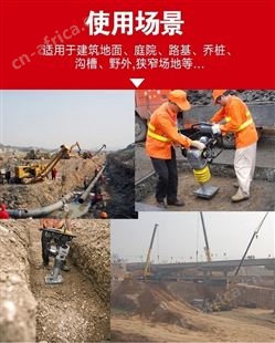 旺业机电-云南电动冲击夯电夯打夯机地基夯实机夯土机-130型汽油款 配隆鑫汽油机