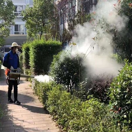 大棚蔬菜灭虫烟雾机 果园大棚用喷雾机 手提便携式喷雾机