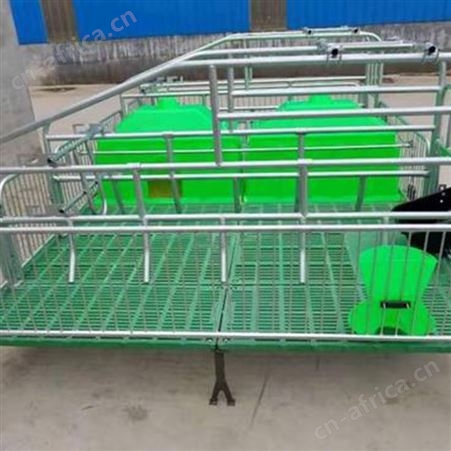 咨询订购 母猪 质量放心 单体母猪产床 养猪设备