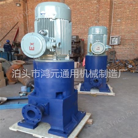 立式滑片泵哪里有生产的 泊头防爆立式滑片泵 汽油柴油甲醇卸车泵