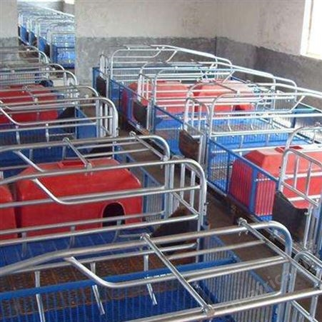 养殖设备母猪产床 价格称心 产保一体猪床 双体母猪产床 咨询订购
