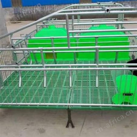 双体母猪产床 全复合母猪产床 按需定制  养猪设备