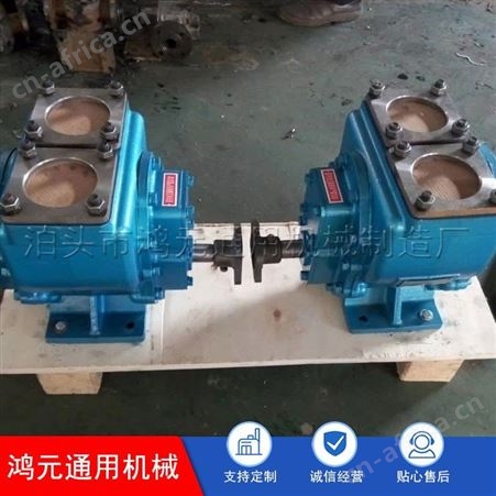 鸿元机械供应 泊头YHCB圆弧齿轮泵 100YHCB-100尼龙轮泵 钢轮润滑油泵