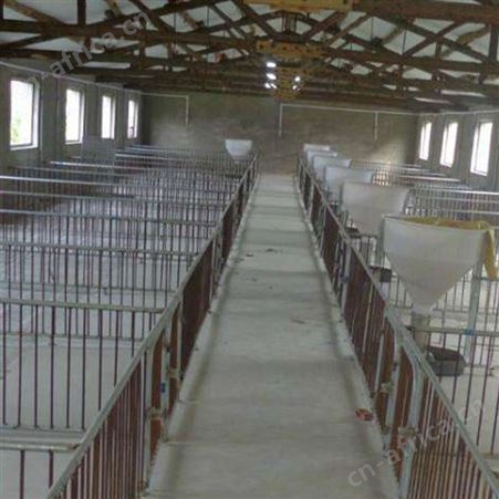 猪场保育床 按需定制 小猪塑料保育床 支持定制 复合板保育床