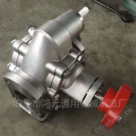 泊头齿轮泵厂家 316材质的齿轮泵 电动不锈钢齿轮泵