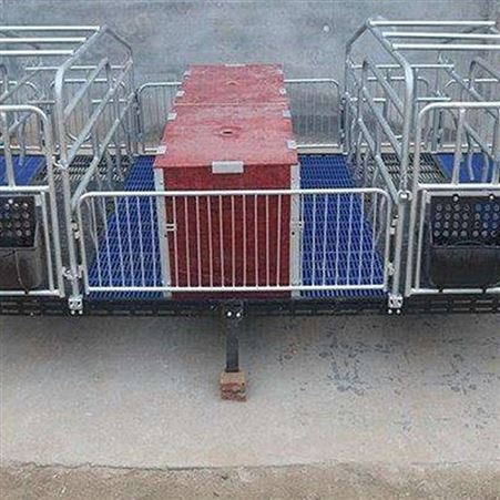 母猪产床保育两用设备  设计生产 复合母猪产床 价格称心 新型母猪产床