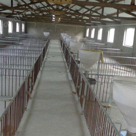 复合板保育床 生产定制 养猪场保育床 价格称心 保育床