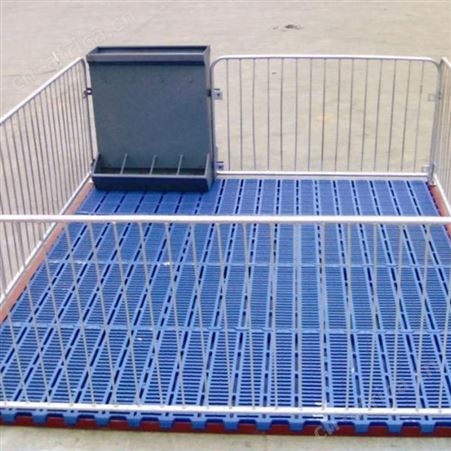 现代化养猪设备 定制供应 猪场用保育床  加工定做 猪用保育床