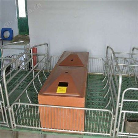 养猪设备 鸿元出售 猪产床 复合板母猪产床 现货加工