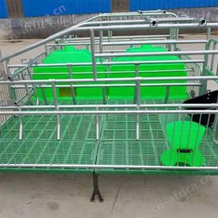 养猪设备 鸿元出售 猪产床 复合板母猪产床 现货加工