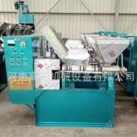 125小型商用芝麻榨油机 全自动多功能条排榨油机 大豆菜籽螺旋榨油机   高阳厂家