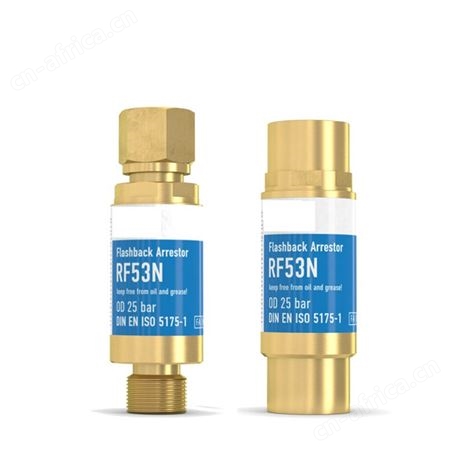 WITT阻火器 witt止回阀RF53N 1/4