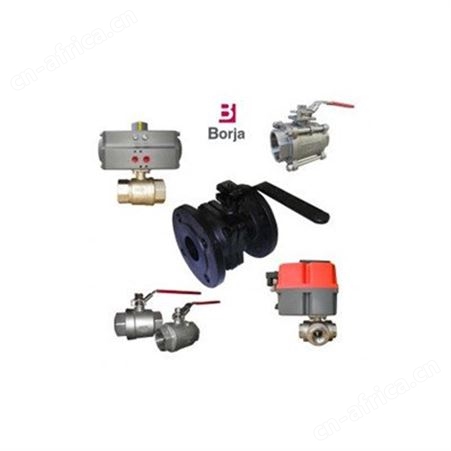 Borja蝶阀 Borja空气阀 Borja检查阀  Borja泵