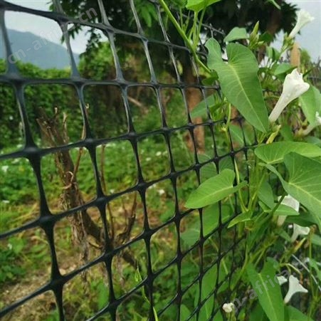 土工格栅 高速路基土工格栅 加筋复合经编土工格栅 广东戈慕莱厂家