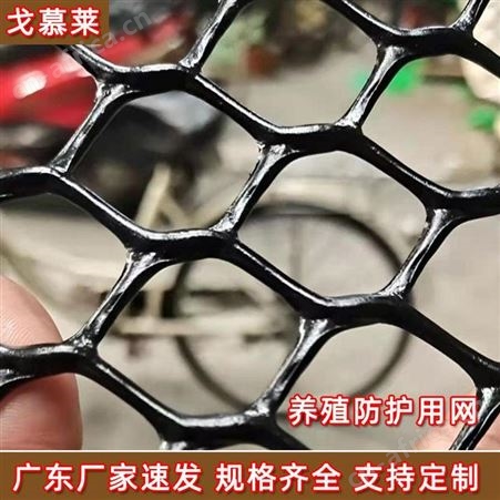 浙江绿色床垫网 土工塑料平网 加厚阻燃绿化塑料网围栏 厂家定制 戈慕莱