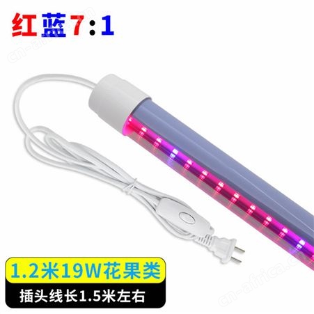 红蓝配比花果类生长灯管1.2米19W红蓝光植物生长灯管  红蓝蔬菜瓜果生长灯 红蓝配比7:1植物生长灯管