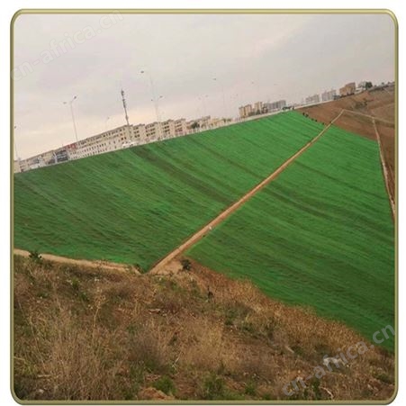 HDPE三维植被网 350gNSS三维网_河道固土绿化用