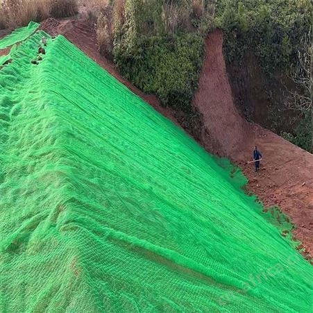 HDPE三维植被网 350gNSS三维网_河道固土绿化用