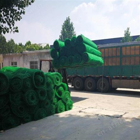 两层加筋三维植被网 边坡绿化三维网 防止水土流失