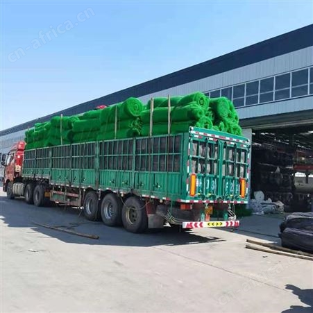加筋防护三维网 EM4三维植被网_350g全新料产品