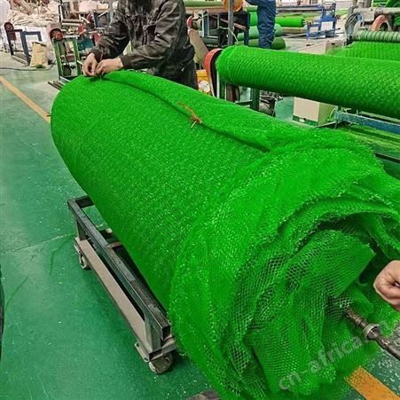 加筋防护三维网 EM4三维植被网_350g全新料产品