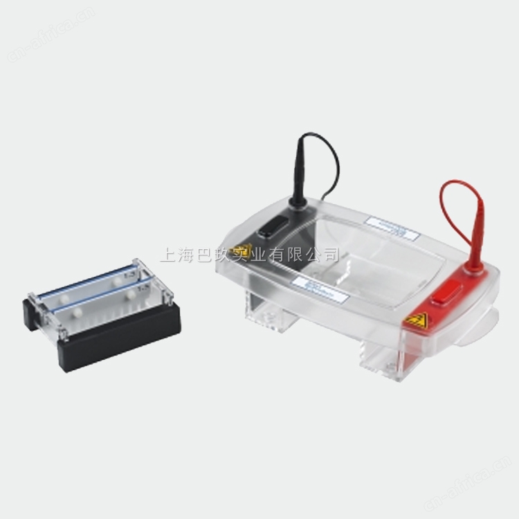 <strong><strong><strong><strong>美国SBP水平电泳系统 Midi Plus 10水平电泳槽作用</strong></strong></strong></strong>