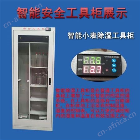 诚鸿电工智能安全工具柜LED工具柜