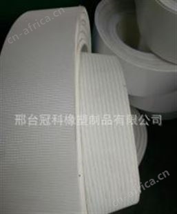 冠科GK-100环形输送带,生产环形输送带,轻型