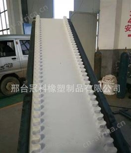 冠科GK-100裙边输送带,挡板输送带,pvc爬