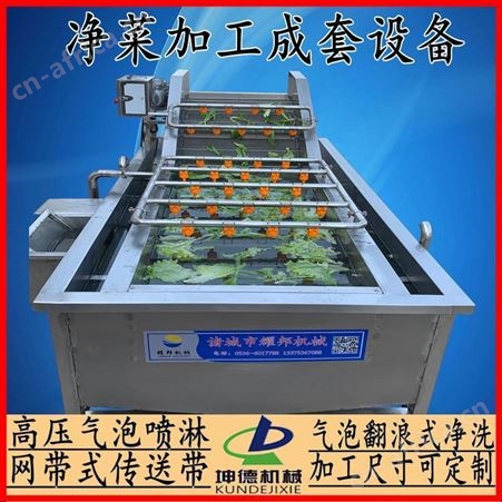 蔬菜清洗加工流水线 大型火龙果清洗流水线 坤德牌商用洗菜机 净菜加工专用设备 小龙虾净洗油炸专用设备