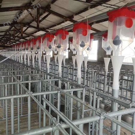 养猪场60料线下料三通自动化料线青岛山东养猪设备养猪料线安装