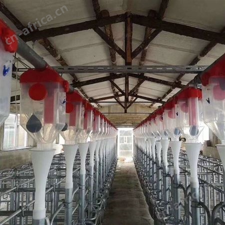 养猪场60料线下料三通自动化料线青岛山东养猪设备养猪料线安装