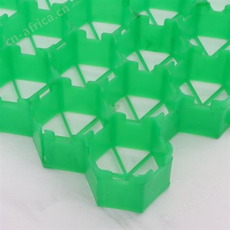 5公分塑料植草格 高强抗压小区景区绿化草坪砖