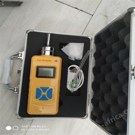 北京恒奥德仪器仪表外置泵吸式四合一气体检测仪配件 型号:HAD-W3 定期闪灯、声音提示