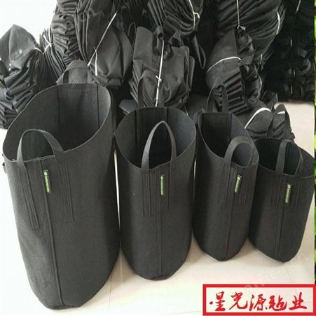 立体毛毡植物袋，无纺布种植袋，手提式植物种植袋