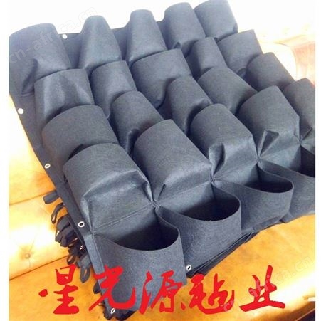 花草苗木栽培种植毛毡袋，黑色无纺布毛毡袋，挂式毛毡绿植袋